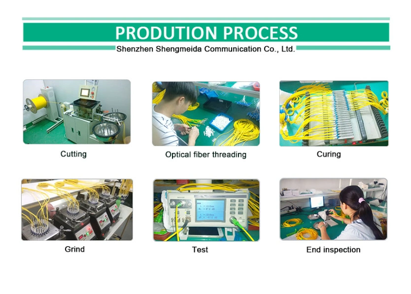 China Factory Simplex Sc / APC to Sc/APC G652D Single Mode Patch Cord Fiber Optic Cable