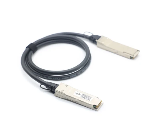 200 g Qsfp-Dd Dac 200 g auf 2 x 100 g Qsfp28 Direct Attach-Kabel 200 g passives Kupfer-Twinax-Kabel